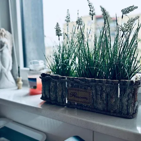 Apartment Al-dom Aniol