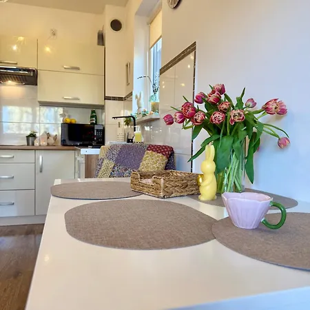 Apartment Al-dom Aniol