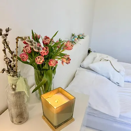 Appartement Al-dom Aniol *